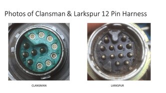 Thumbnail: 08-clansman-larkspur-harness.jpg