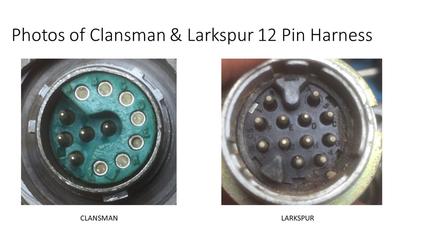 Image: 08-clansman-larkspur-harness.jpg